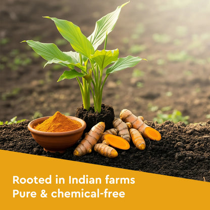 Turmeric Powder